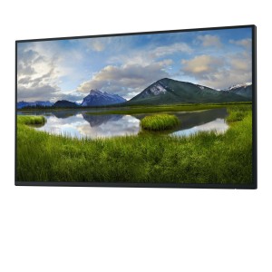 DELL Pro Plus P2725H_WOST écran plat de PC 68,6 cm (27") 19 | JDB-Info