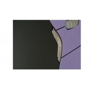 BakkerElkhuizen Evoluent4 souris Bureau Droitier USB Type-A | JDB-Info