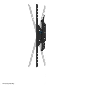 Neomounts WL35-750BL18 support pour téléviseur 2,49 m (98") | JDB-Info