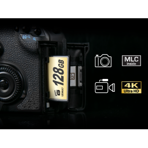 TRANSCEND Ultimate CompactFlash 16Go Card R160MB/s VGP 20 MLC