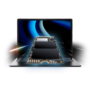 TRANSCEND 1To M.2 2242 PCIe Gen4x4 NVMe 3D TLC DRAM-less