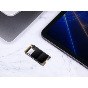 TRANSCEND 1To M.2 2242 PCIe Gen4x4 NVMe 3D TLC DRAM-less