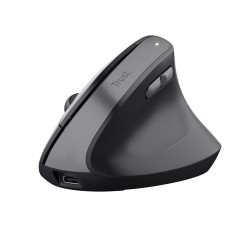 Trust Bayo II souris Médical Droitier RF sans fil Optique 2 | JDB-Info