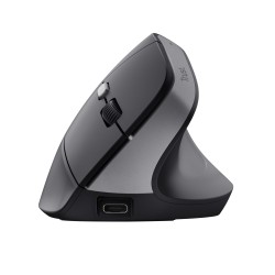 Trust Bayo II souris Médical Droitier RF sans fil Optique 2 | JDB-Info