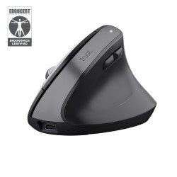 Trust Bayo+ souris Bureau Droitier RF sans fil + Bluetooth | JDB-Info