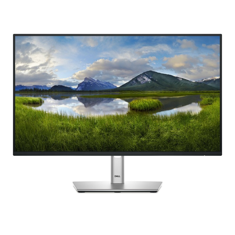 DELL Pro Plus P2425H écran plat de PC 60,5 cm (23.8") 1920 | JDB-Info