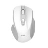 Trust Nito souris Universel Droitier RF sans fil Optique 22 | JDB-Info