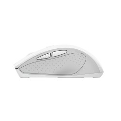 Trust Nito souris Universel Droitier RF sans fil Optique 22 | JDB-Info