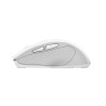 Trust Nito souris Universel Droitier RF sans fil Optique 22 | JDB-Info