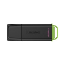 Kingston Technology DataTraveler 256Go Stockage portable US | JDB-Info