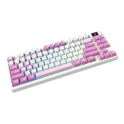 MSI FORGE GK600 TKL WIRELESS VIOLET clavier Gaming USB + Bl | JDB-Info