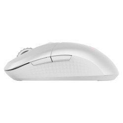 MSI Versa 300 Wireless souris Gaming Droitier RF Wireless + | JDB-Info