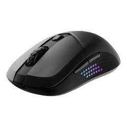 MSI VERSA 300 ELITE WIRELESS souris Gaming Droitier RF Wire | JDB-Info